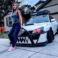 Dyoma_Forester